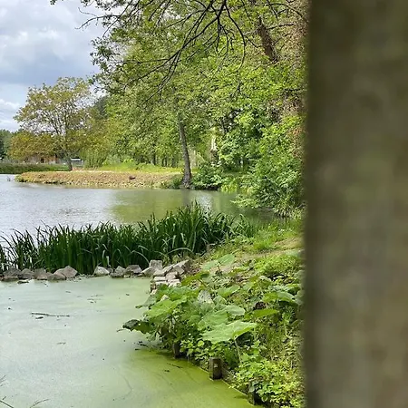 Cerise, Luxueus Genieten In De Leiestreek
